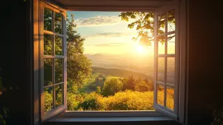 Global Market Trends for Picture Windows in 2025 Insights and Key Strategies